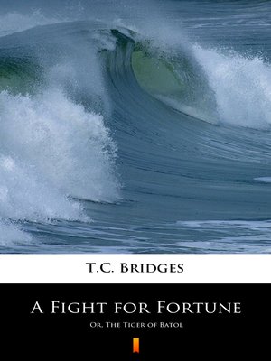 cover image of A Fight for Fortune